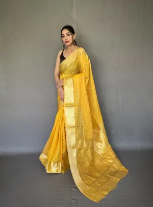 Beautiful Designer Organza Checks Saree