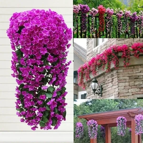 Vivid Beautiful Hanging Orchid Bunch